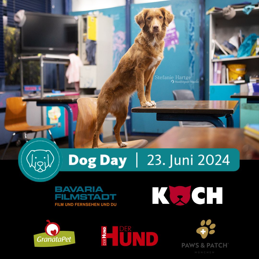 Dog Day 23. Juni 2024