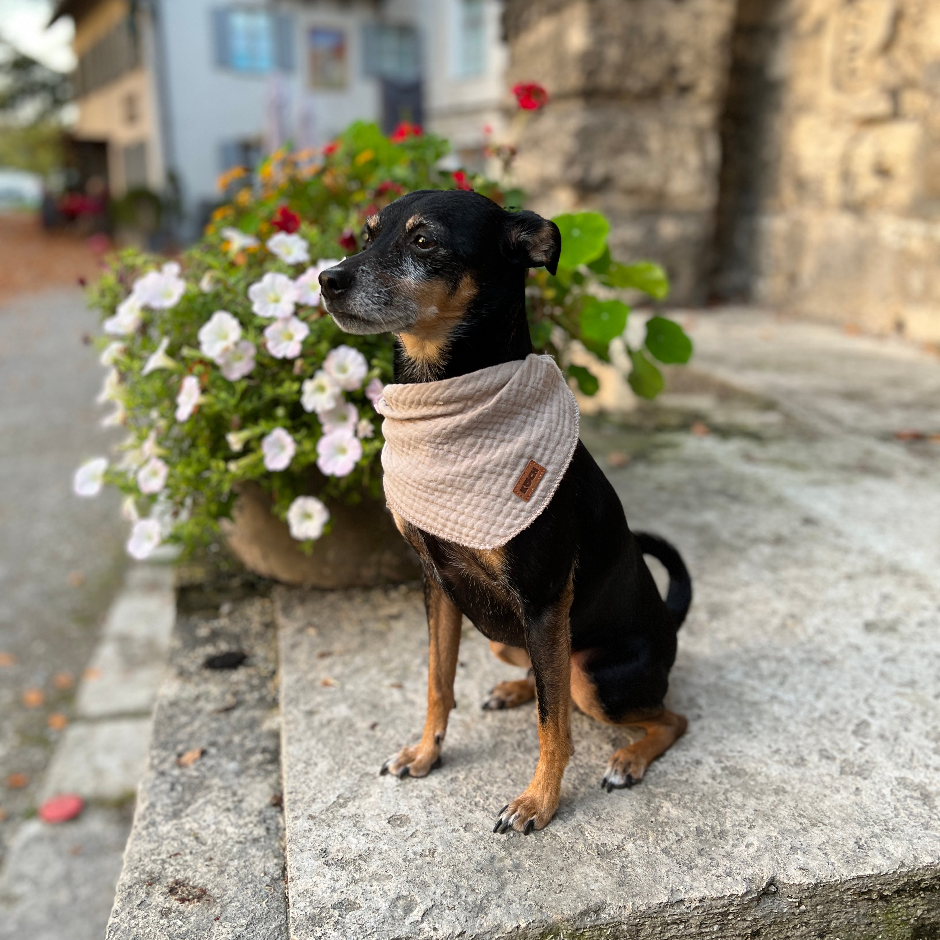 Hundehalstuch "Bella"