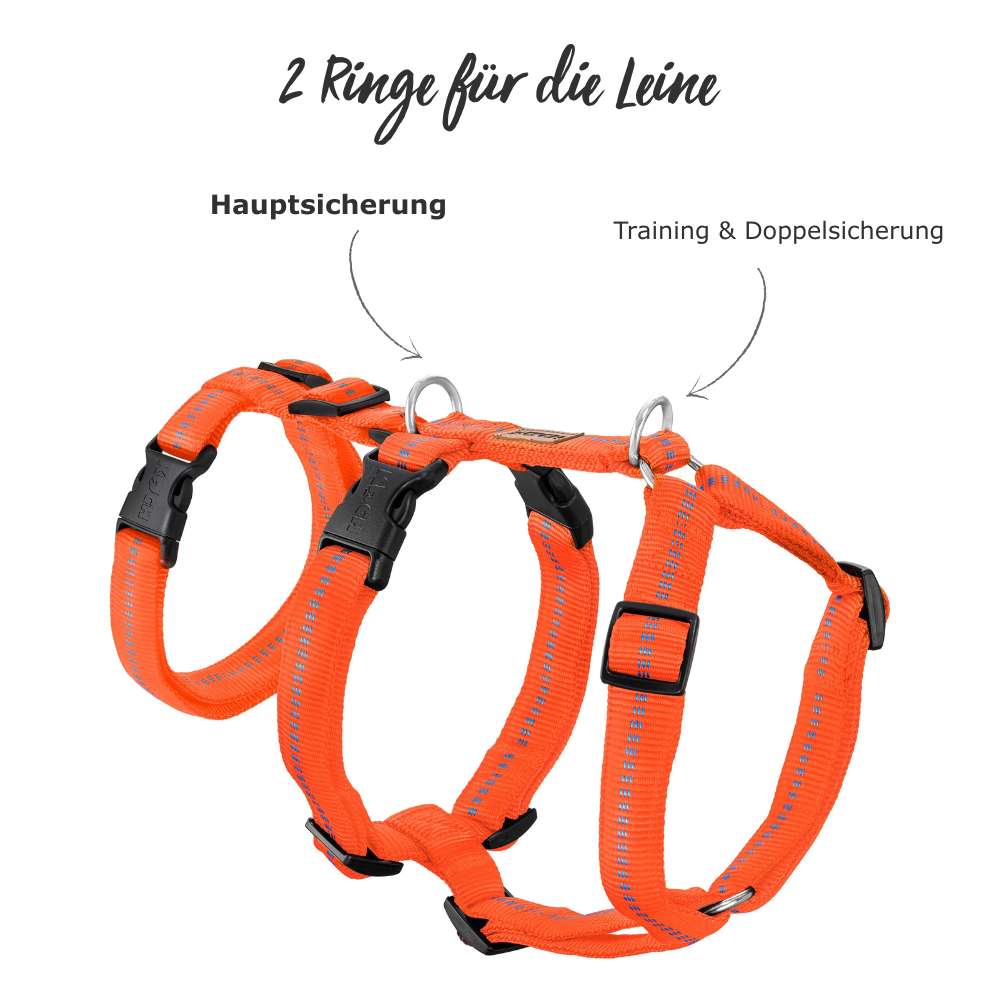 Anwendung eines KOCH Sicherheitsgeschirr