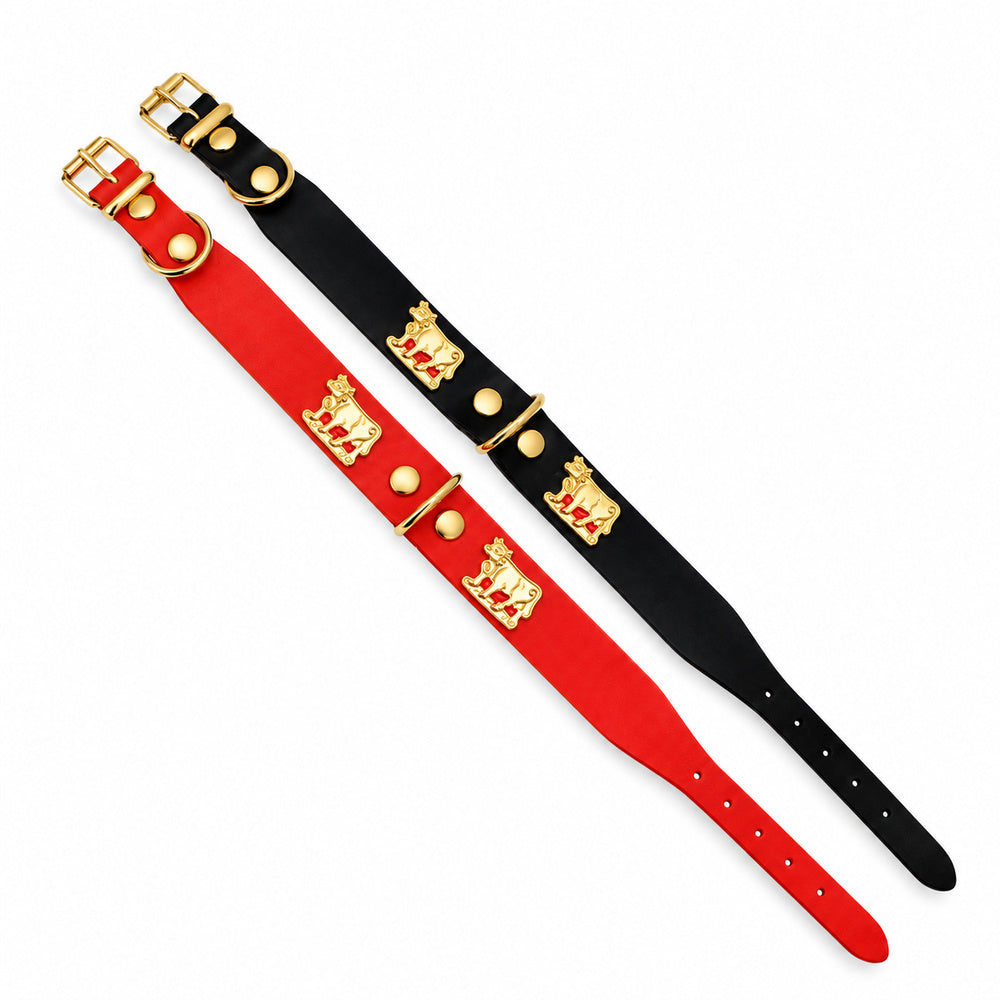 Appenzeller Hunde-Halsband aus robustem Vollrindleder