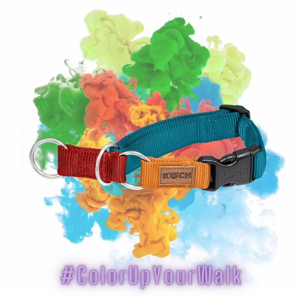 KOCH Premium Zugstopp-Halsband gepolstert bunt mit Farbsplash #farbe_bunt
