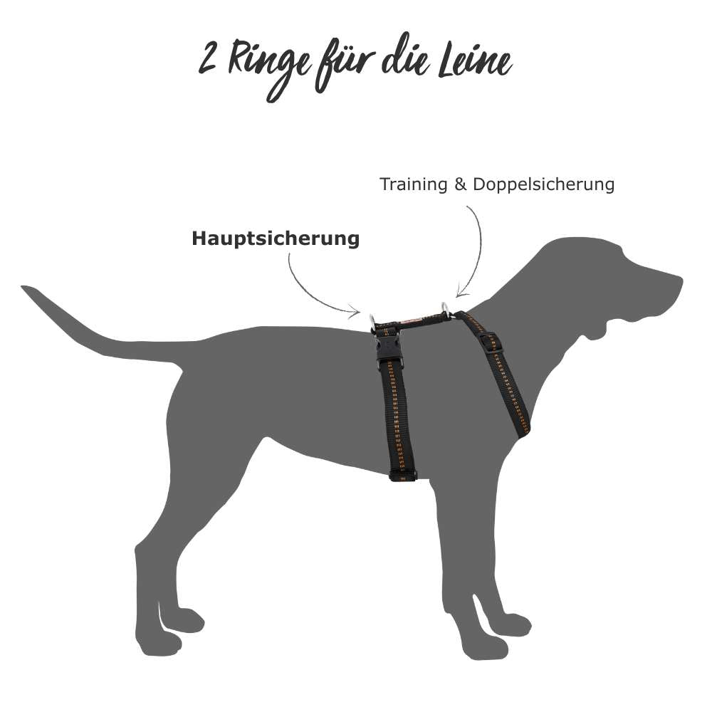 Gepolstertes Hundegeschirr von KOCH mit 2 Ringen für die Hundeleine