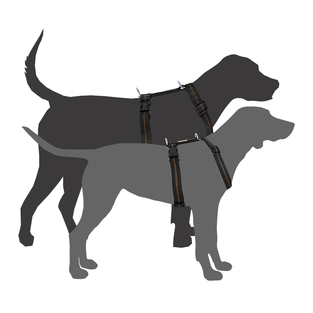 KOCH Premium Hundegeschirr gepolstert extrabreit 40mm