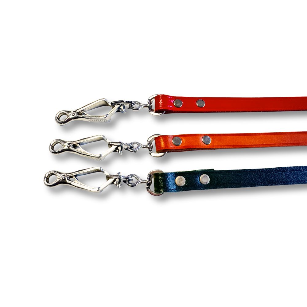 Stadtleine aus Vollrindleder, 1 m, 12 mm, mit Handschlaufe und Scherenkarabiner – Farbe Rot grün braun