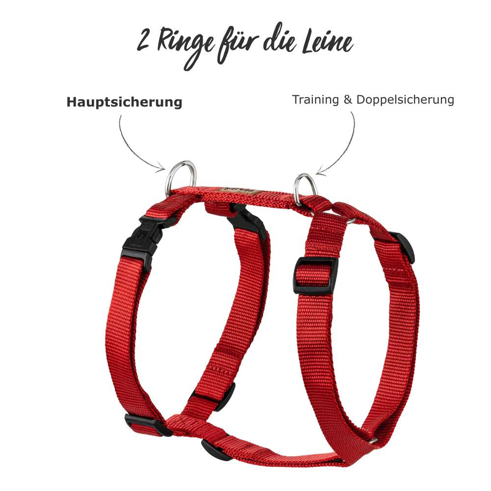 KOCH Geschirr mit 2 Ringen