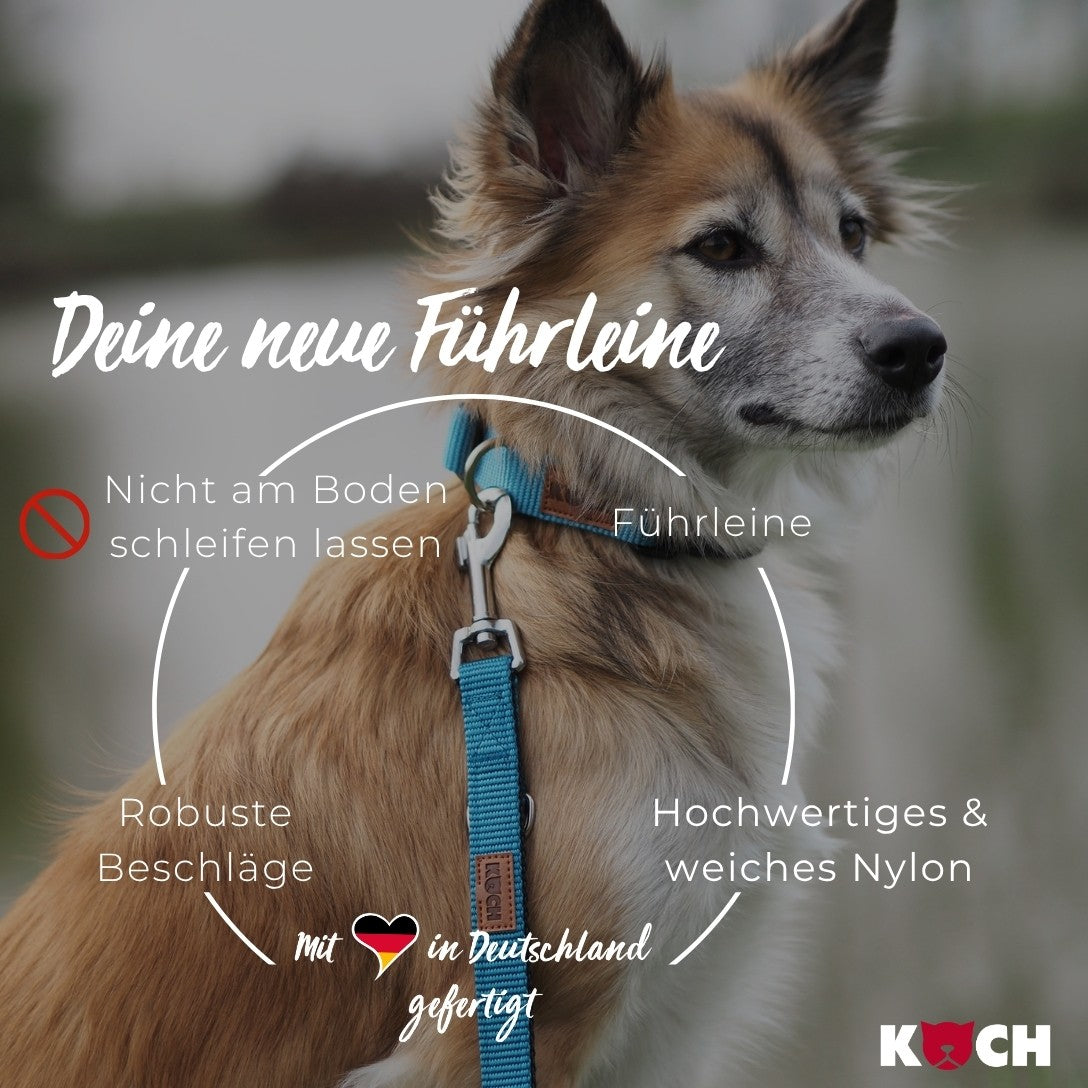 Ein Hinweis Hundeleine nicht am Boden schleifen lassen