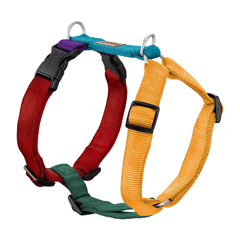 KOCH Premium Hundegeschirr gepolstert bunt #farbe_bunt