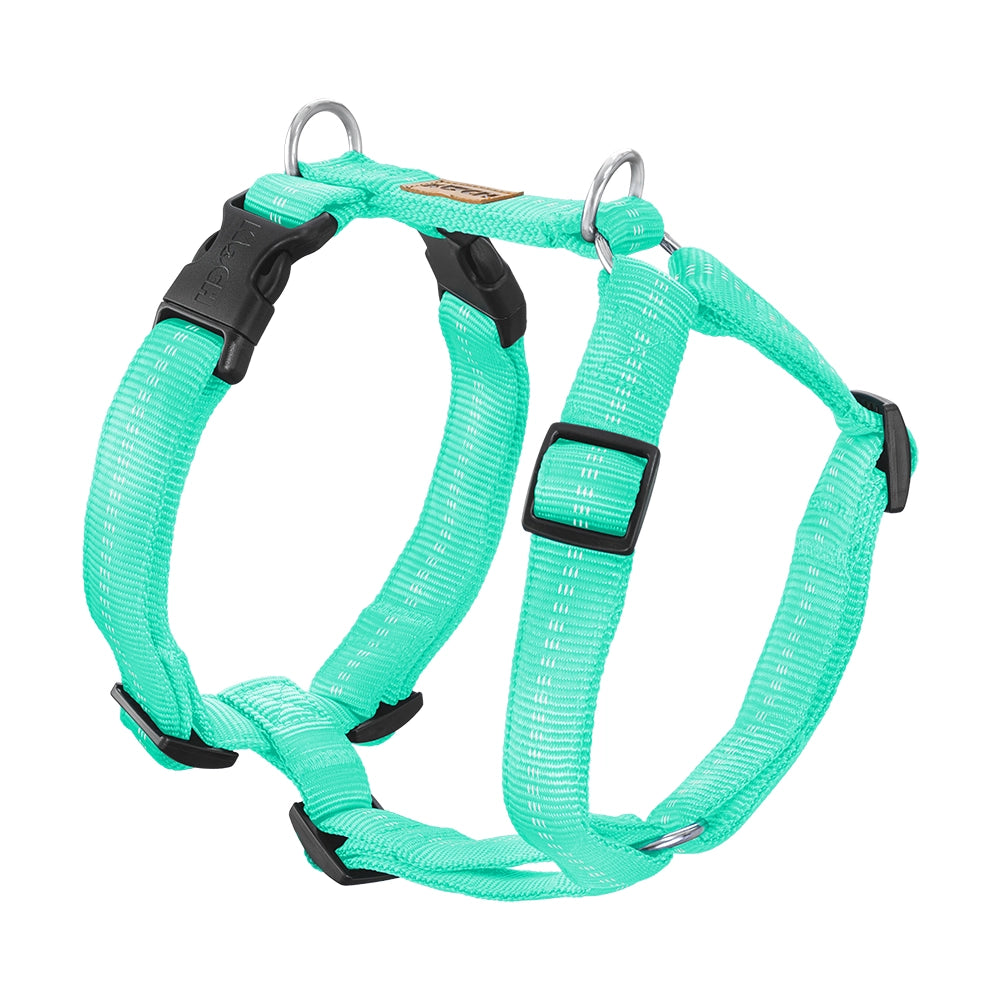 KOCH Premium Hundegeschirr gepolstert mint mit Kennfäden #farbe_mint