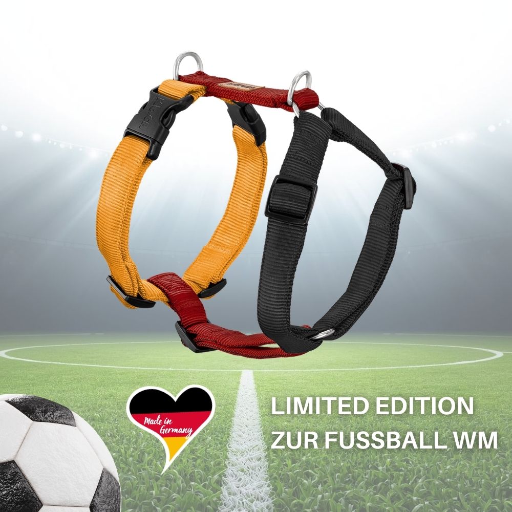 KOCH WM Hundegeschirr (Limited Edition) – Der Fan-Look für Hunde