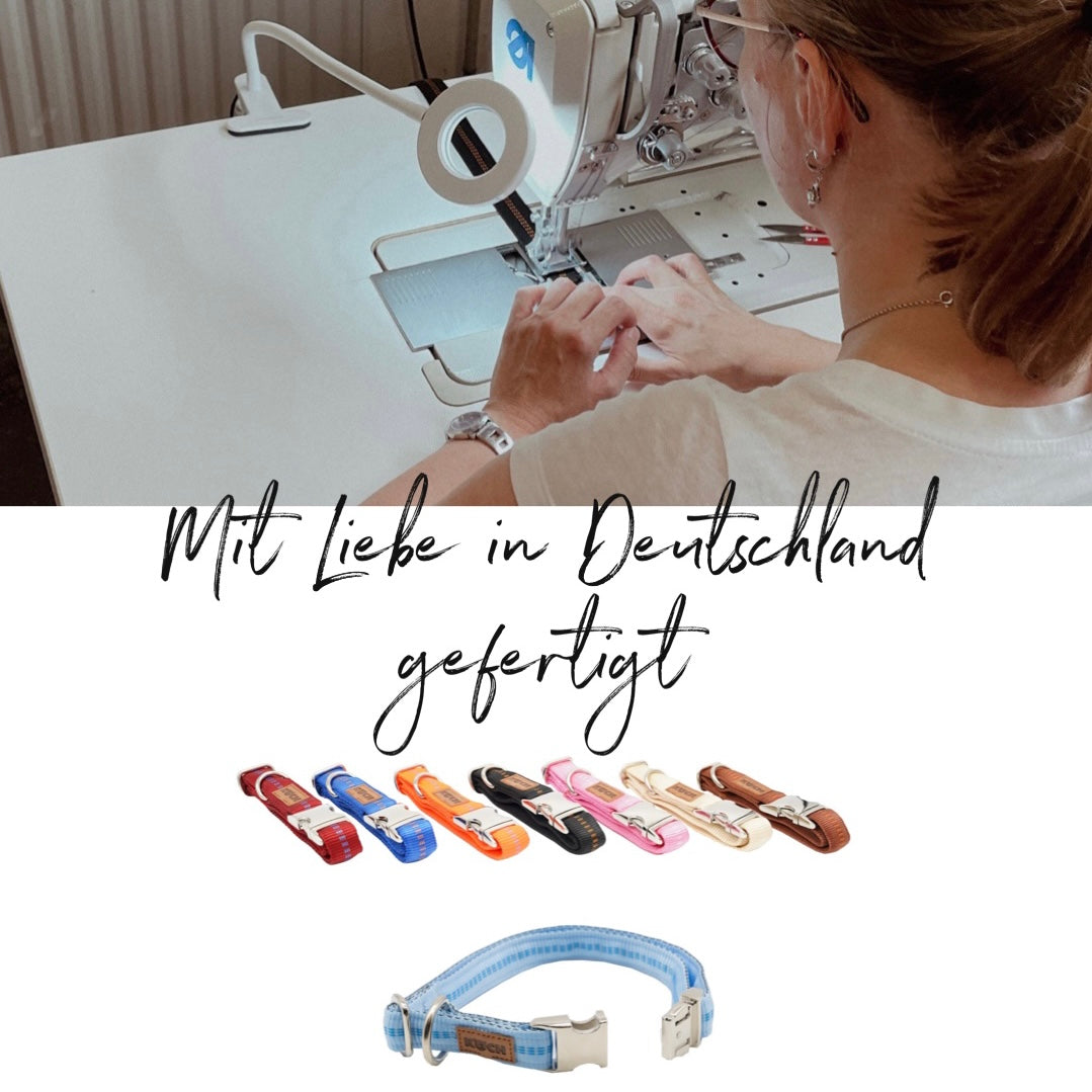 Mood Bild mit Alu Klick Halsband von KOCH in verschiedenen Farben und gepolstert