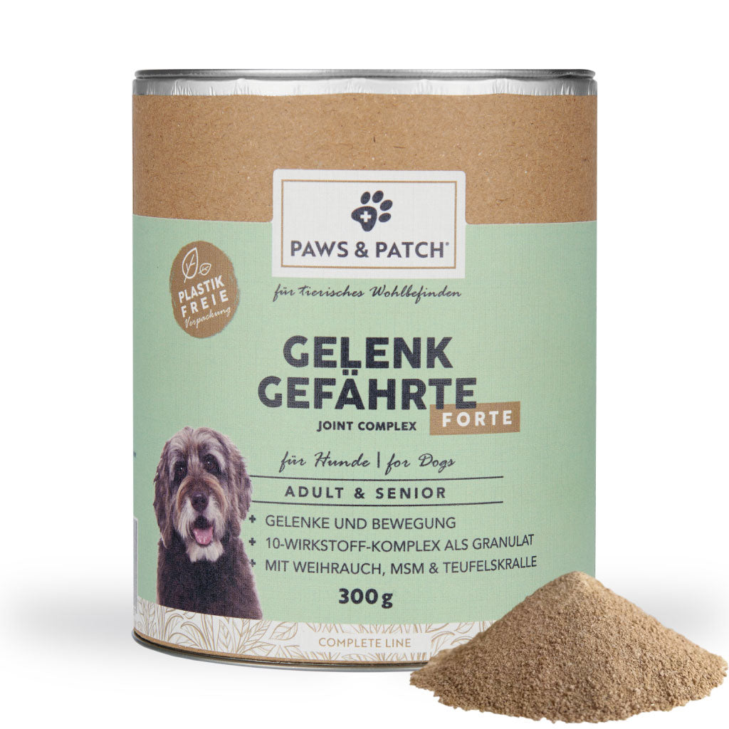 Gelenk Gefährte Forte für Hunde