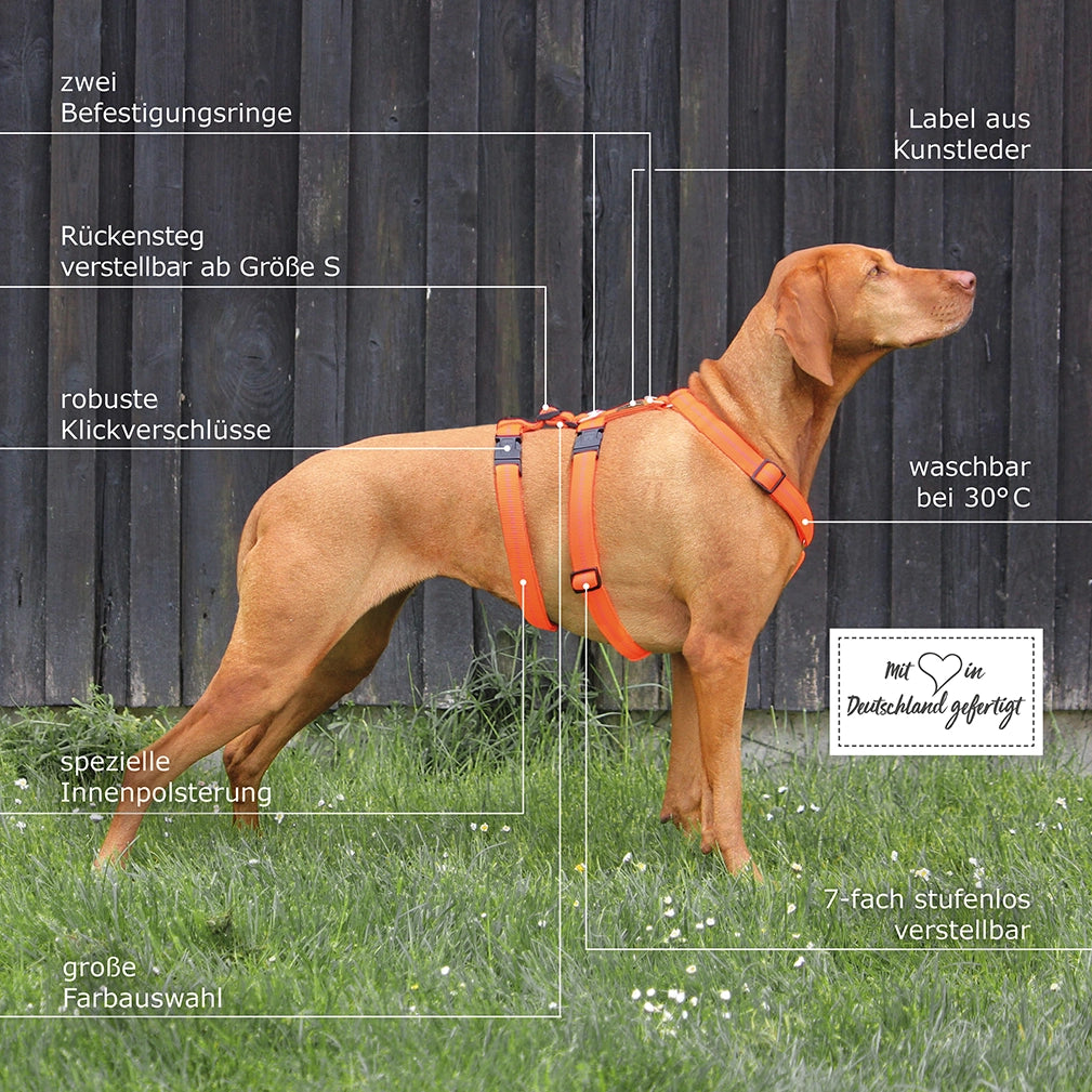 KOCH Premium Sicherheitsgeschirr gepolstert, Panikgeschirr