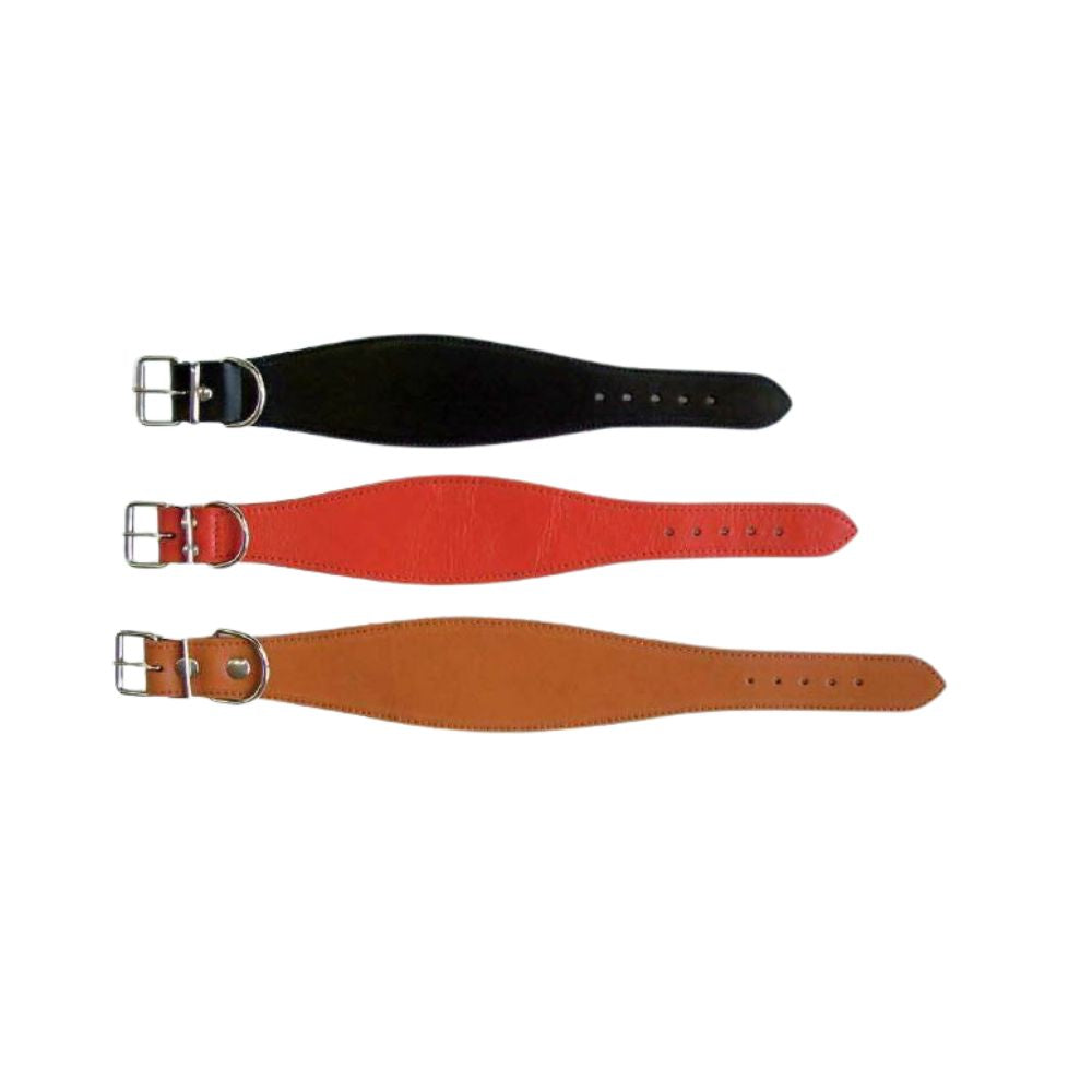 Windhundhalsband Leder