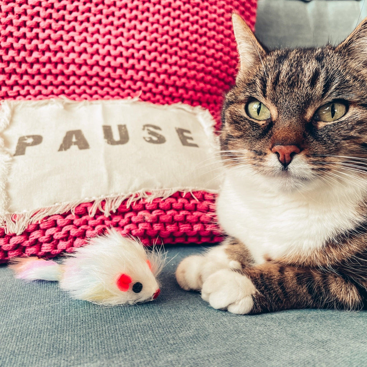 Faschings-Maus mit Donna