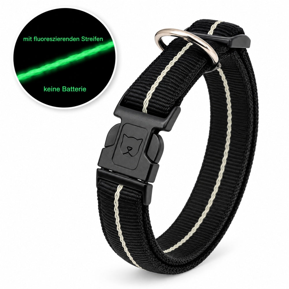 KOCH Hundehalsband gepolstert mit fluoreszierendem Streifen