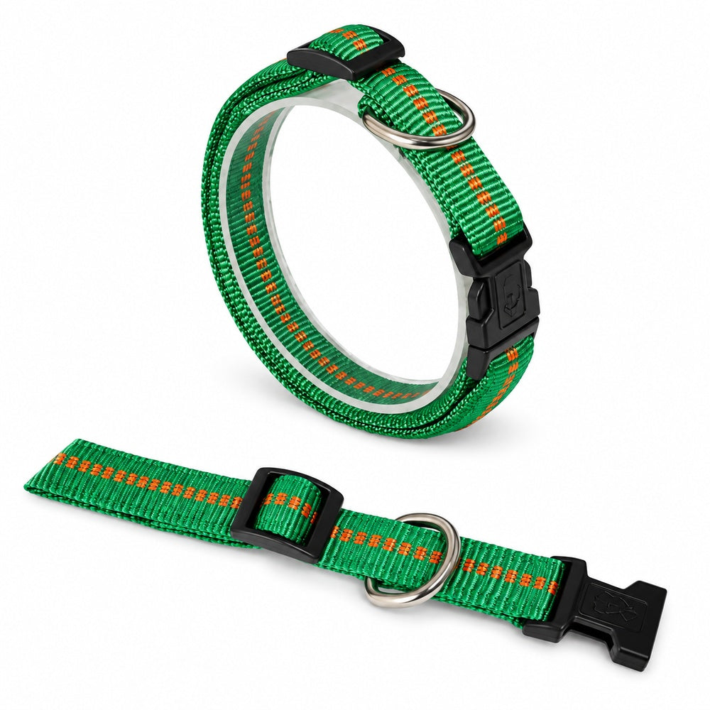 KOCH Premium Hundehalsband gepolstert mit Kennfäden in grün