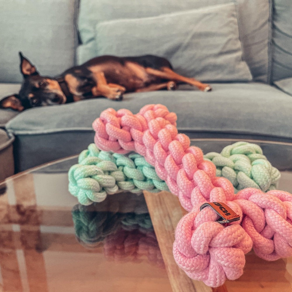 Boney Bone Hundespielzeug Design Knochen