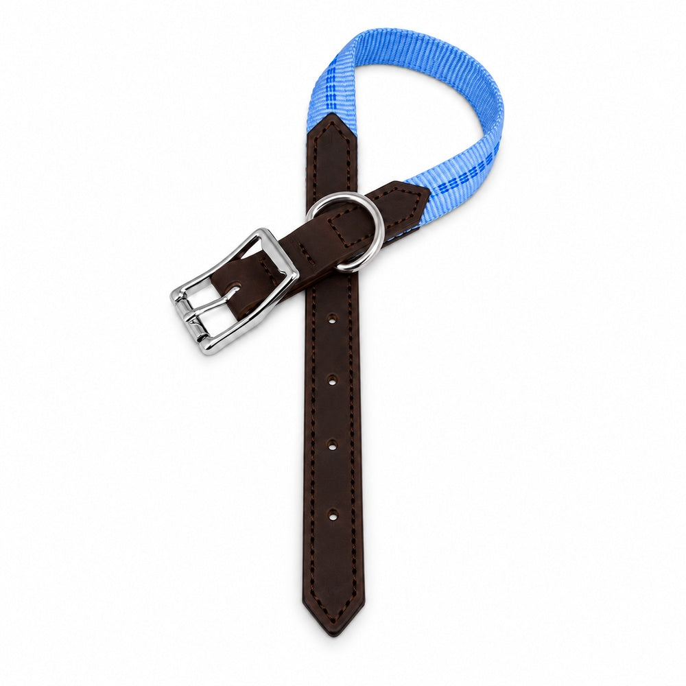 KOCH G-Adventure Hundehalsband mit Leder & gepolstertem Nylon hellblau #farbe_hellblau