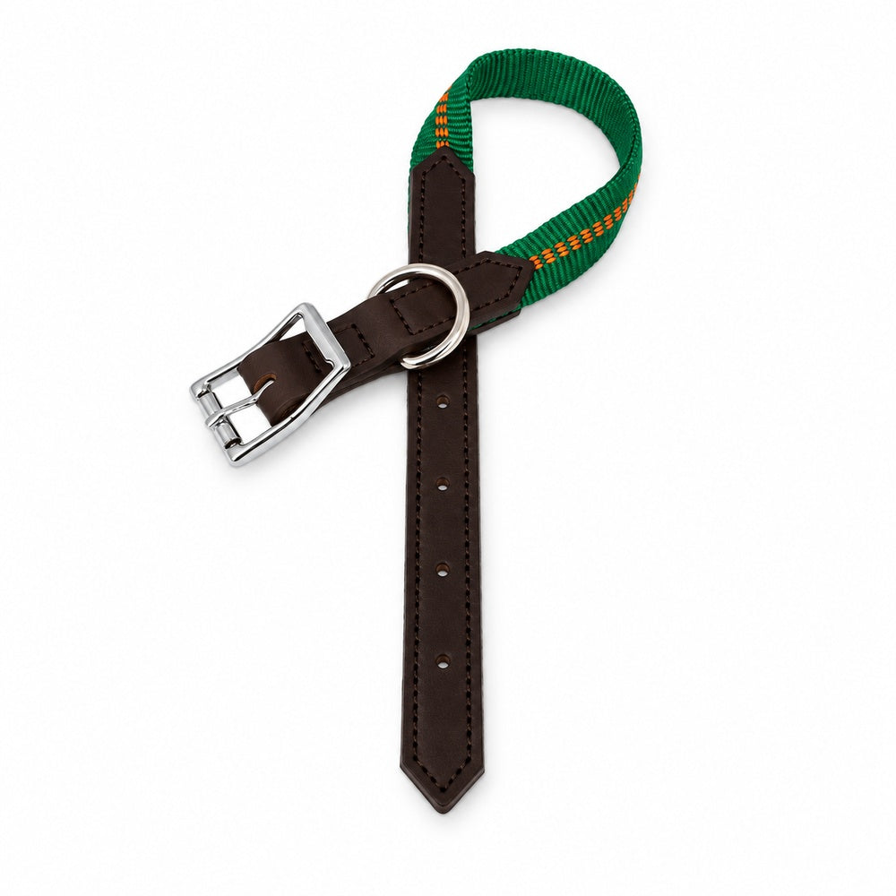KOCH G-Adventure Hundehalsband mit Leder & gepolstertem Nylon grün #farbe_grün