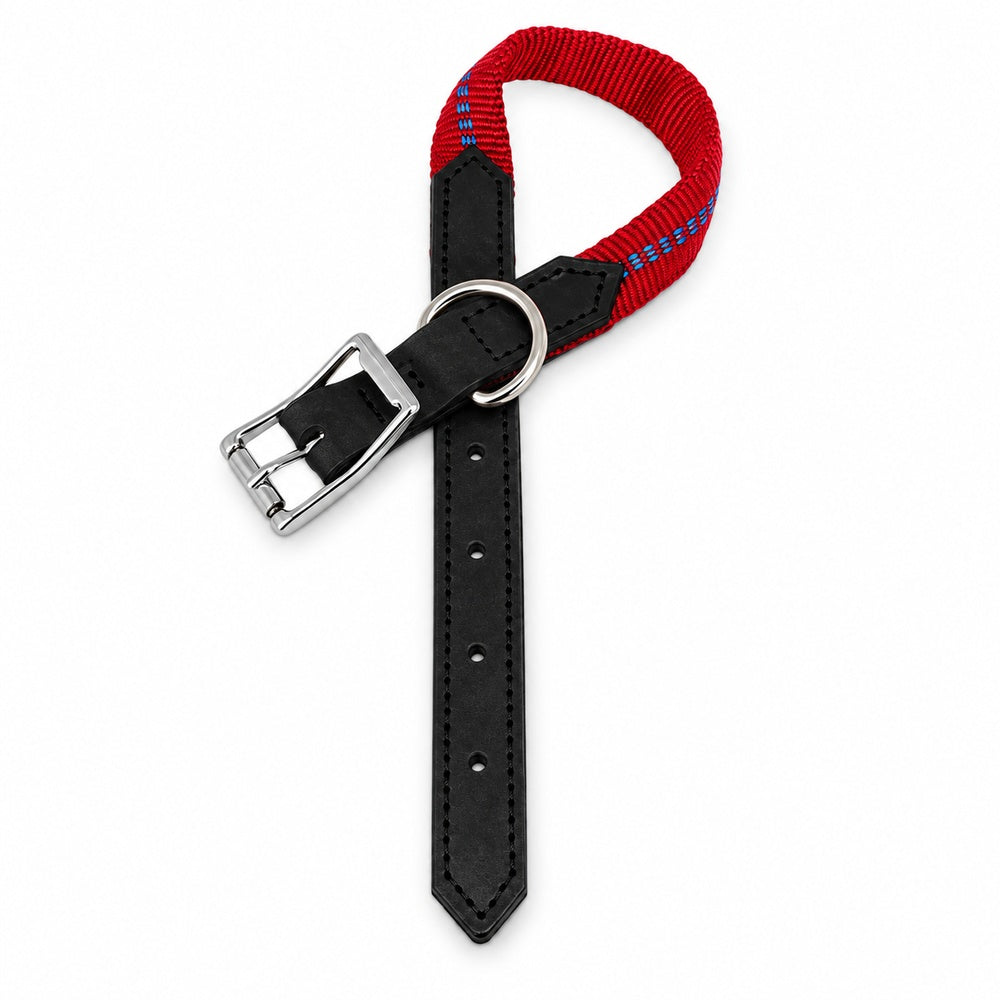 KOCH G-Adventure Hundehalsband mit Leder & gepolstertem Nylon rot #farbe_rot