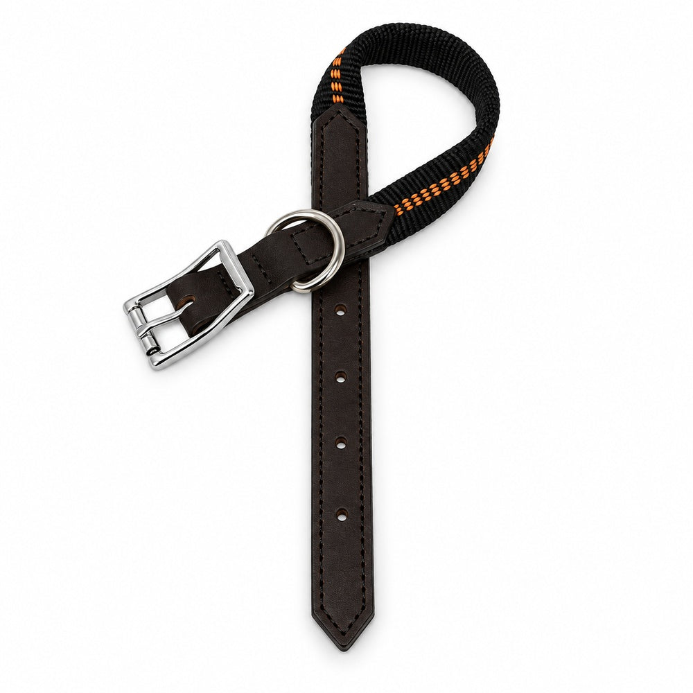 KOCH G-Adventure Hundehalsband mit Leder & gepolstertem Nylon schwarz #farbe_schwarz