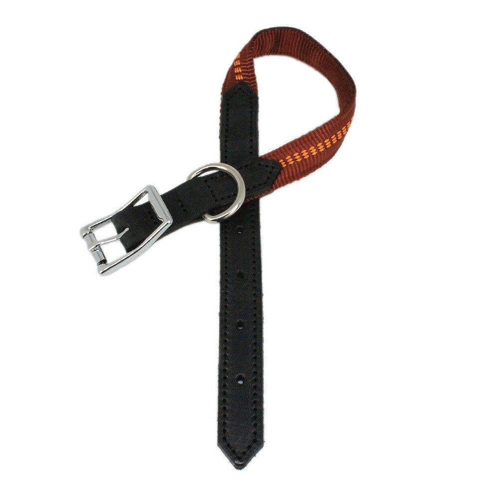 KOCH G-Adventure Hundehalsband mit Leder & gepolstertem Nylon kupfer #farbe_kupfer