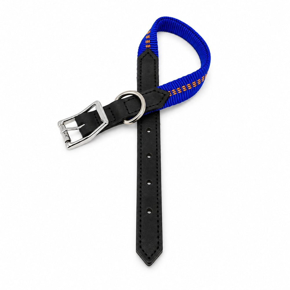 KOCH G-Adventure Hundehalsband mit Leder & gepolstertem Nylon blau #farbe_blau