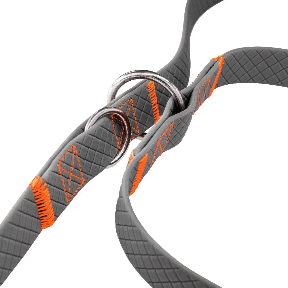 KOCH Waterproof Hundeleine 2 Meter verstellbar