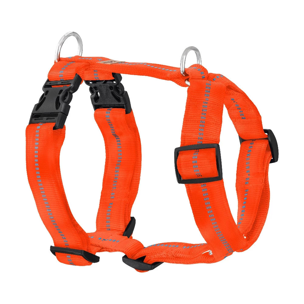 KOCH Premium Hundegeschirr gepolstert extrabreit 40mm leuchtorange mit Kennfäden #farbe_leuchtorange mit Kennfäden