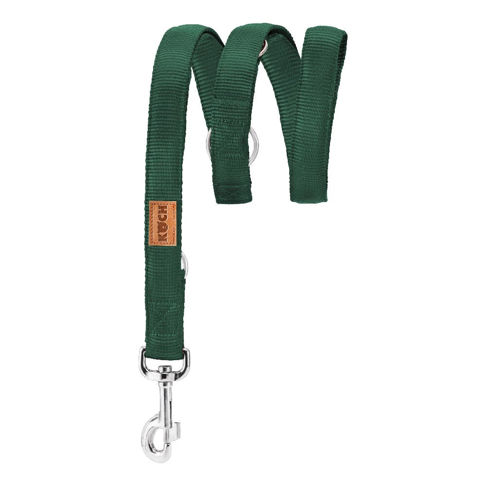 Gepolsterte Hundeleine verstellbar (2m & 3m)