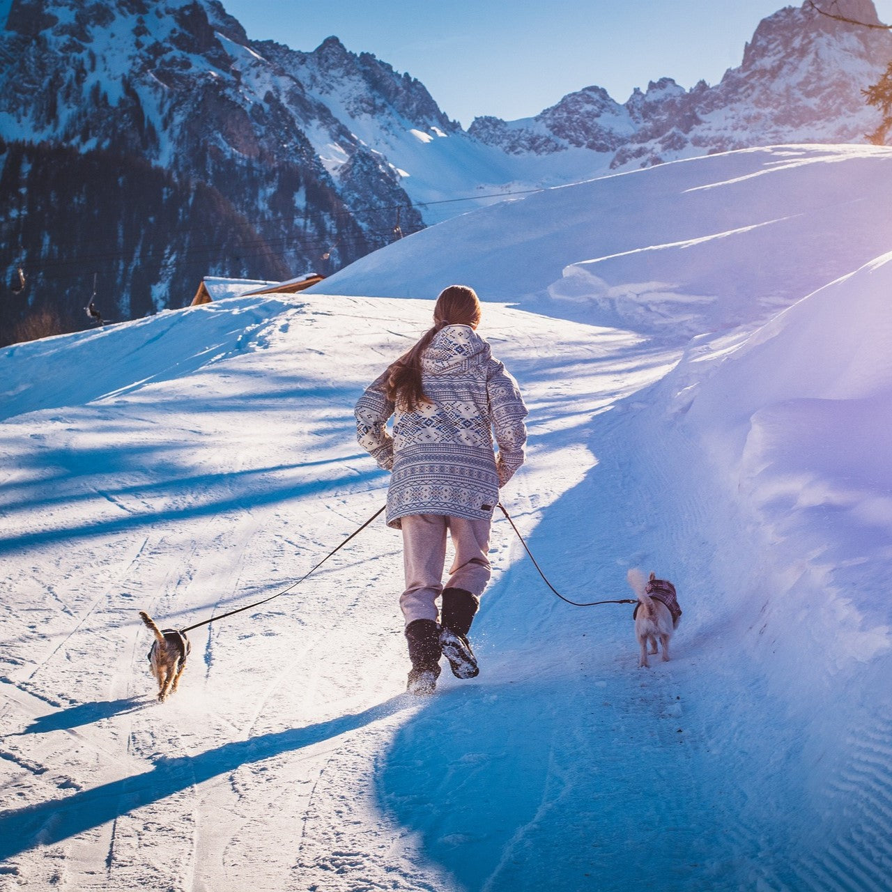 Winterurlaub mit Hund - die besten Tipps für eine unvergessliche Zeit