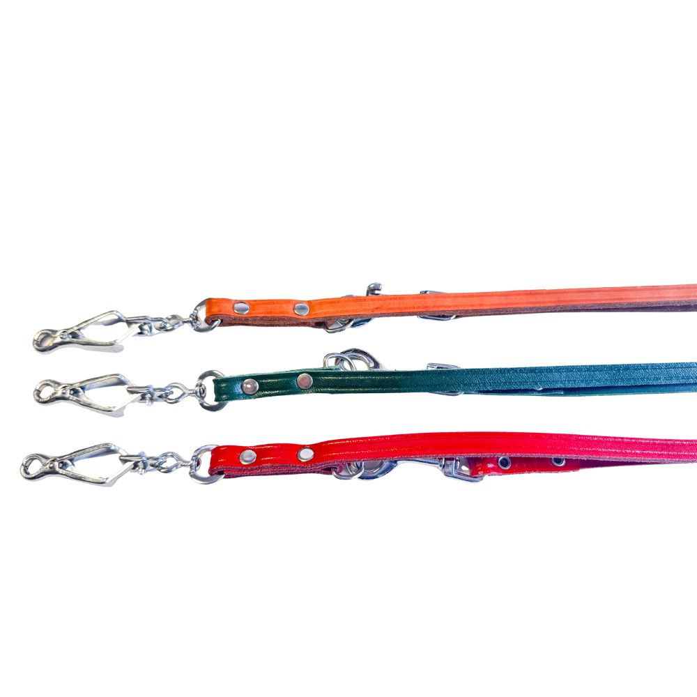 Detail: Scherenkarabiner der verstellbaren Lederleine – große Öffnung, Federverschluss