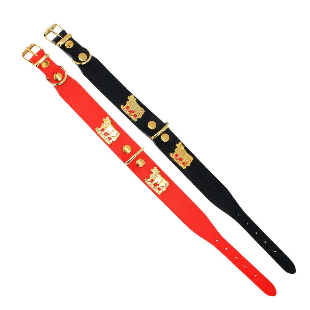 Appenzeller Hunde-Halsband aus robustem Vollrindleder