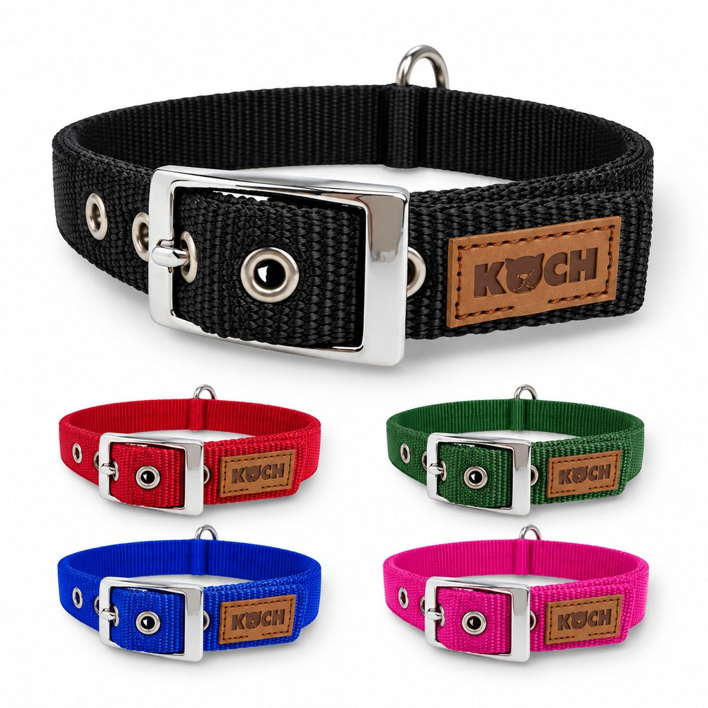 KOCH Classic Hundehalsband mit Schnalle