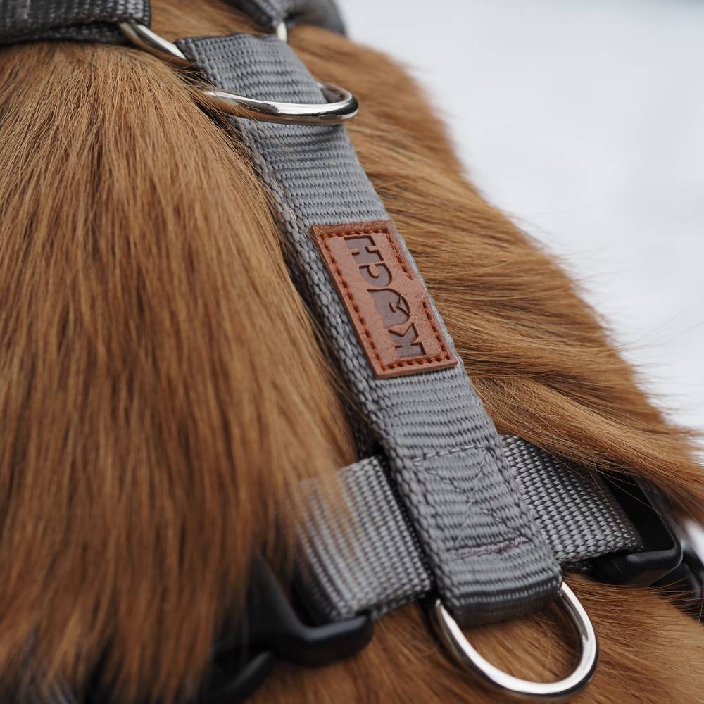 KOCH Hundegeschirr gepolstert in grau (Bild vom Rücken)
