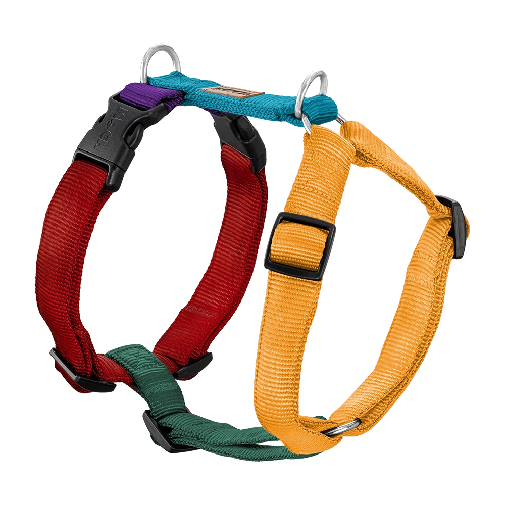 KOCH Premium Hundegeschirr gepolstert bunt #farbe_bunt