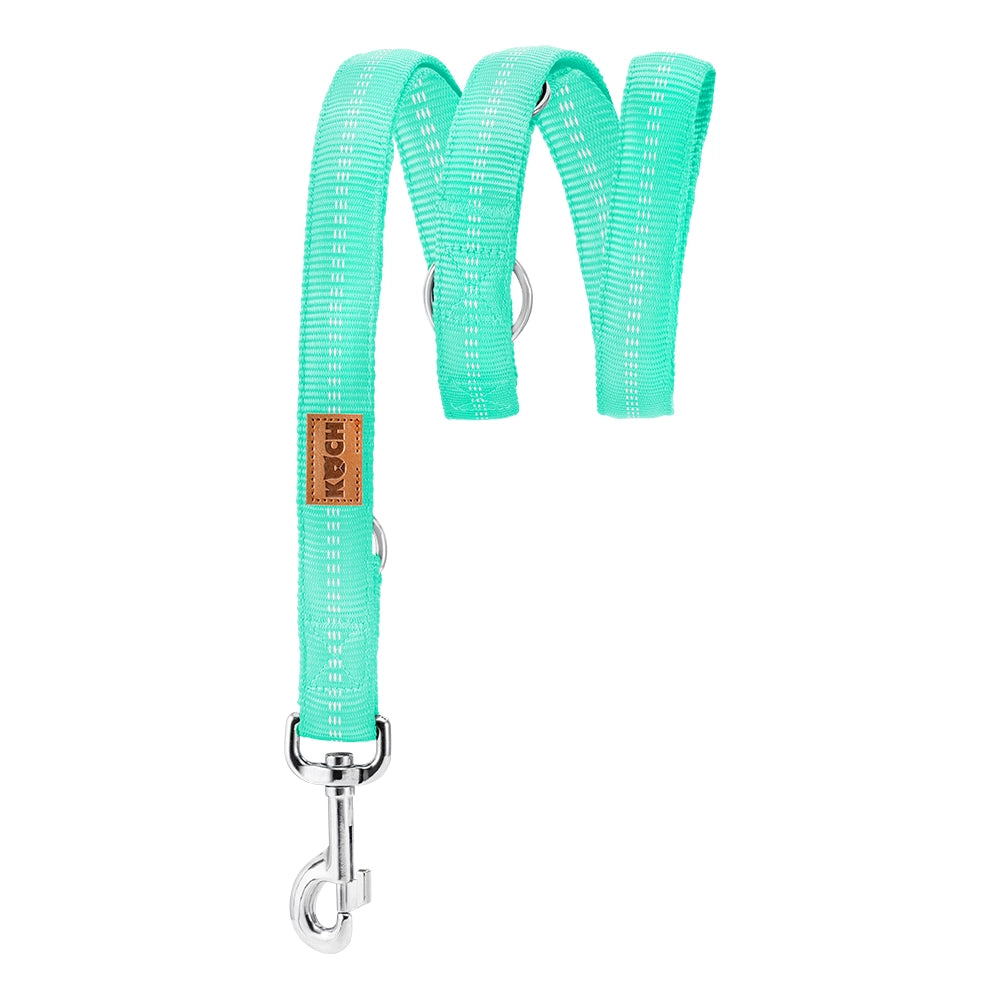 KOCH Premium Hundeleine gepolstert 2 & 3 Meter verstellbar grün #farbe_mint mit Kennfäden