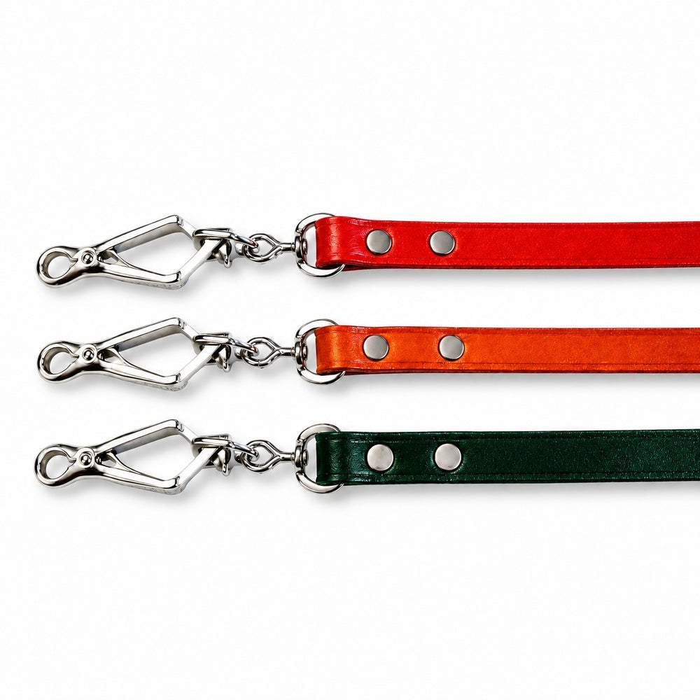 Stadtleine aus Vollrindleder, 1 m, 12 mm, mit Handschlaufe und Scherenkarabiner – Farbe Rot grün braun | von KOCH