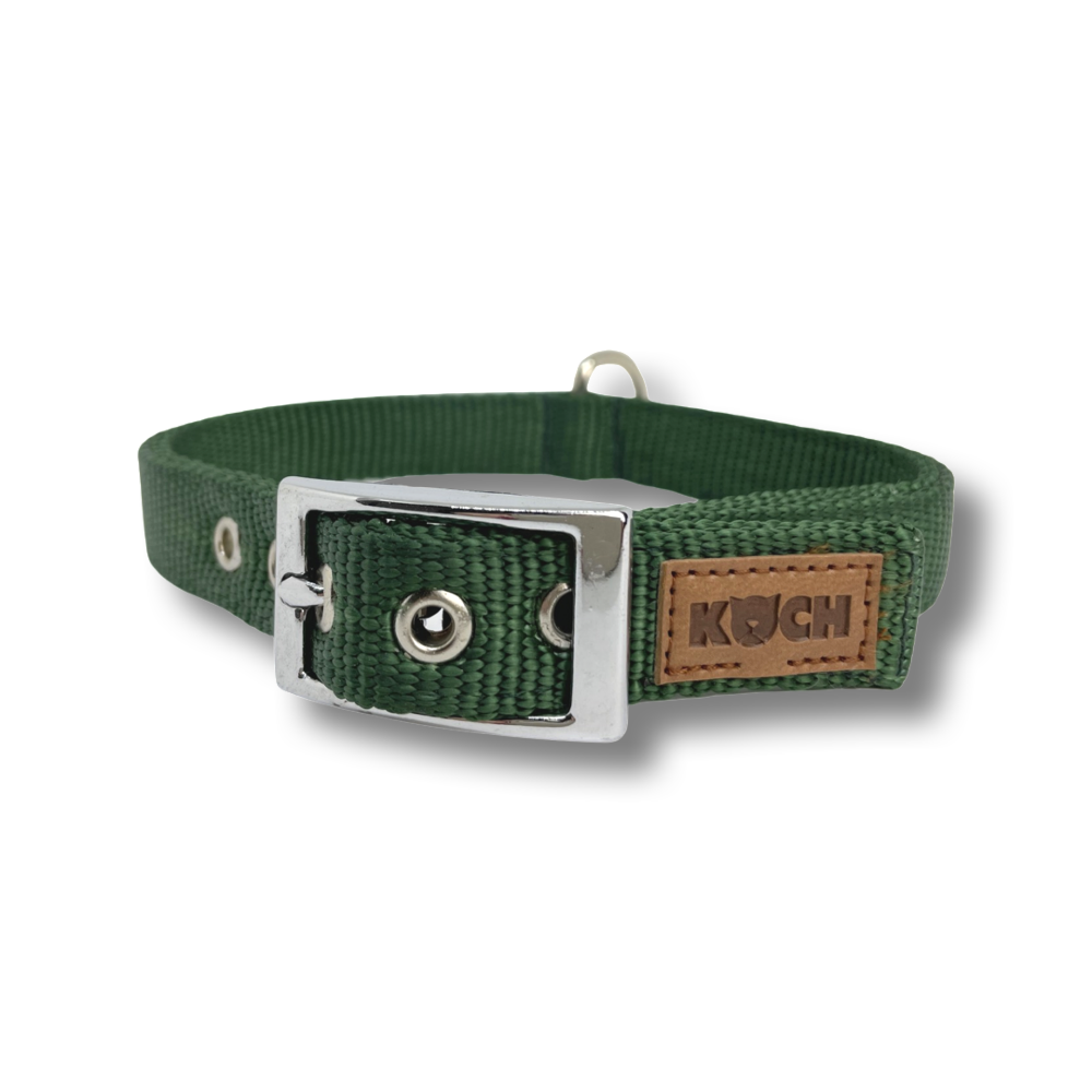 KOCH Classic Hundehalsband mit Schnalle Farbe grün