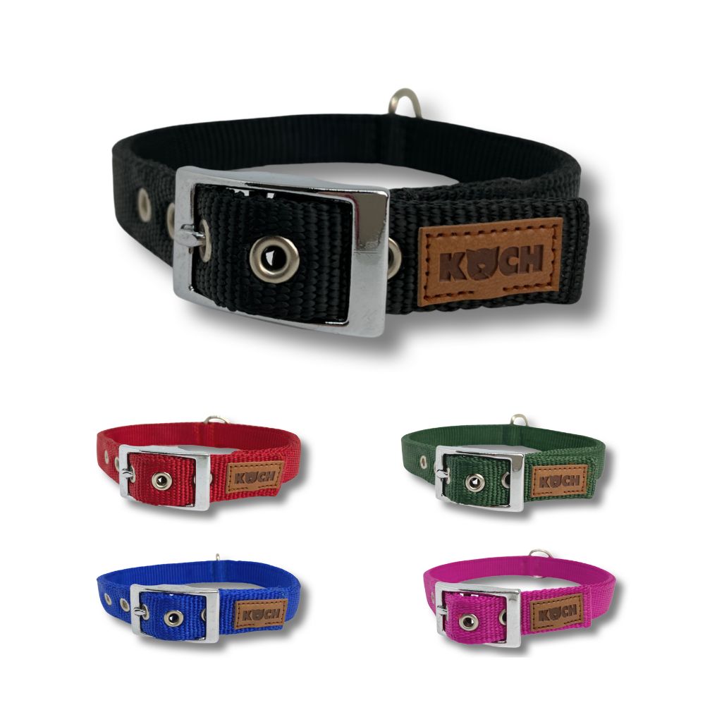 KOCH Classic Hundehalsband mit Schnalle