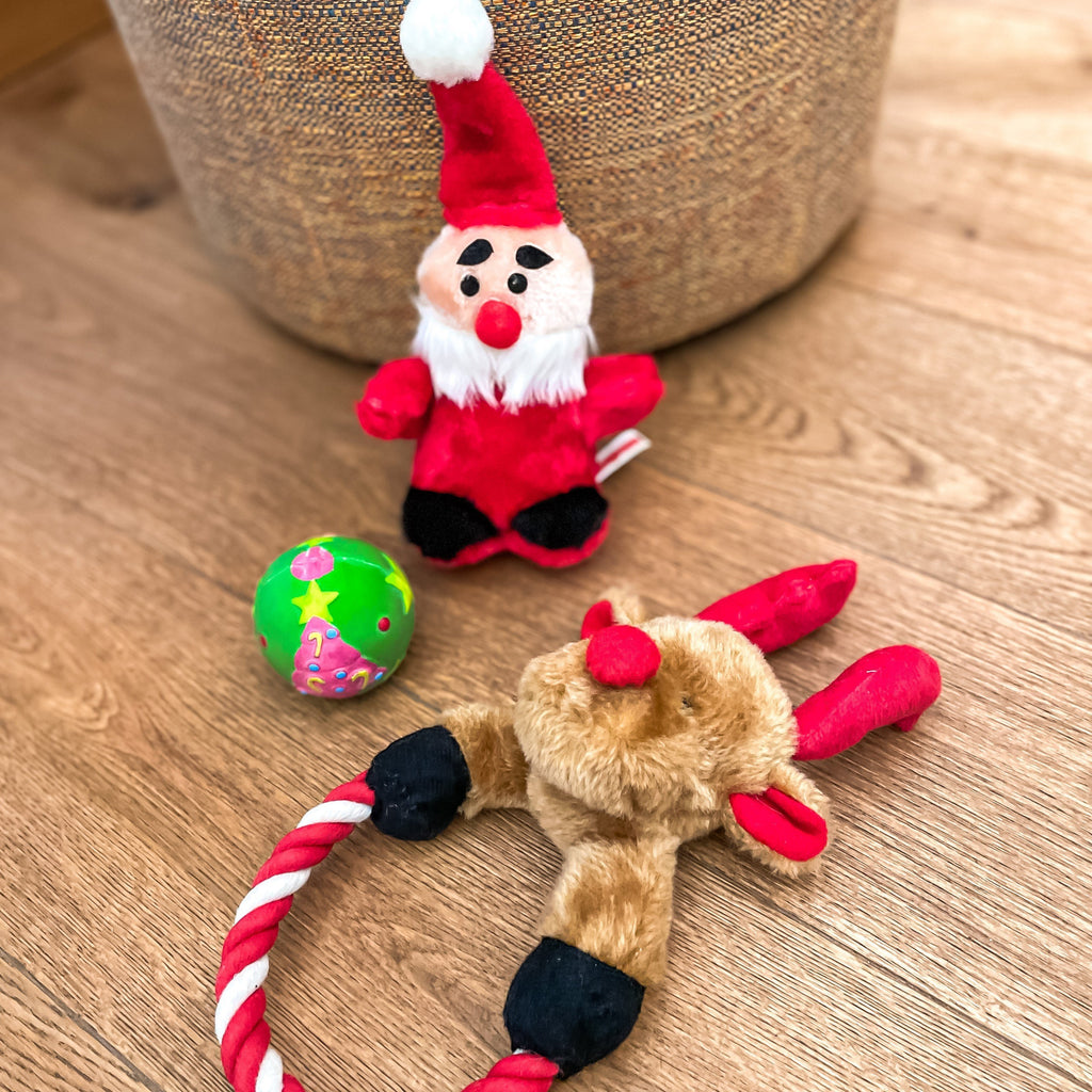 Christmas-Set Hundespielzeug