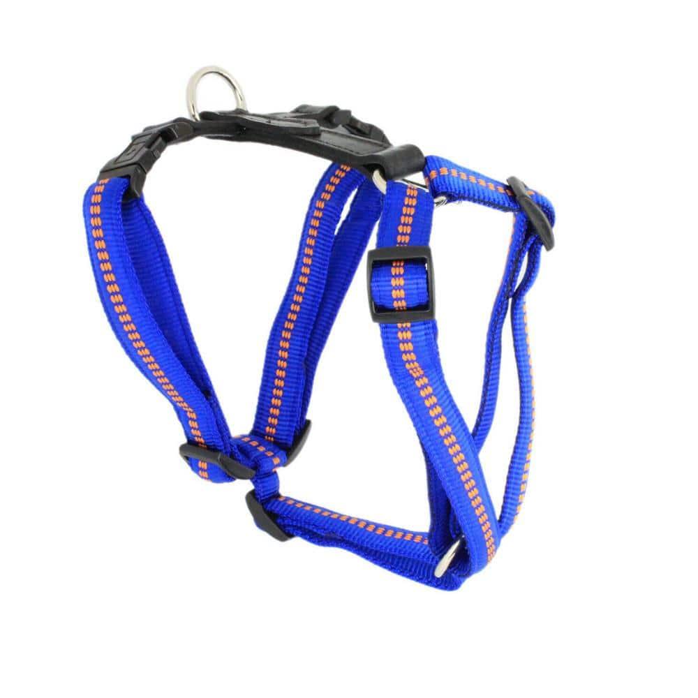 G-Adventure Hundegeschirr mit Leder & gepolstertem Nylon - blau mit Kennfäden / XS - 15mm | 38-49cm